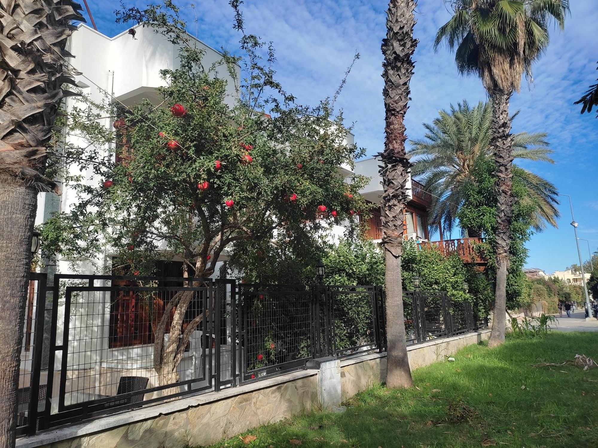 Garden Prizma Rooms&Aparts Kemer Rom bilde